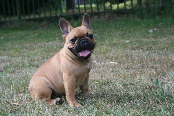 Publication : Maison de Principaute