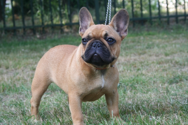 Publication : Maison de Principaute