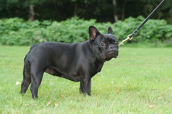 Publication : Maison de Principaute