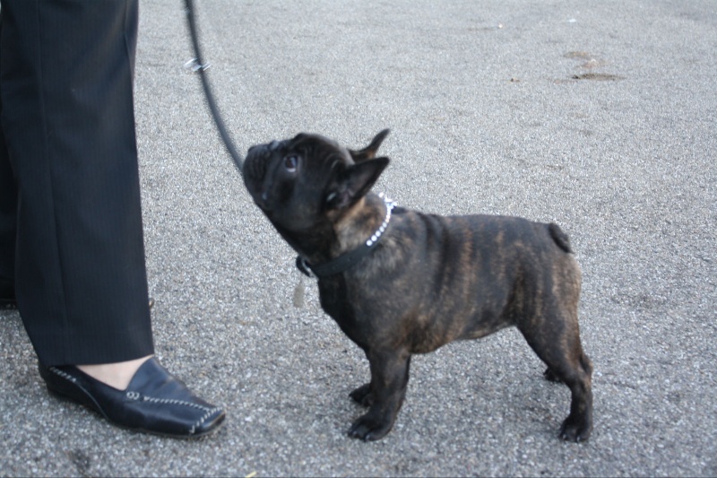 Publication : Maison de Principaute