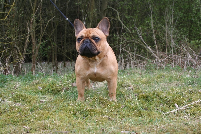 Publication : Maison de Principaute