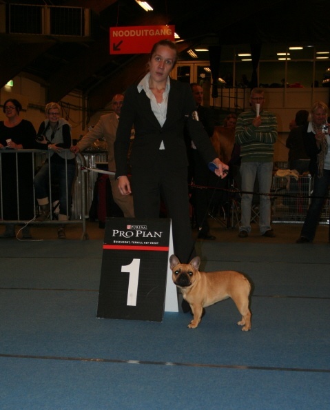 CH. Cadbury Angels Indira - 1e place very promissing & Best Puppy