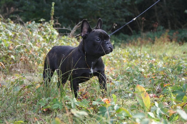 C'est nymphe Maison de Principaute - 1e youth class Female
