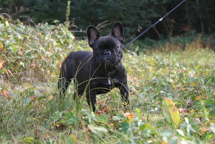 C'est nymphe Maison de Principaute - 5e place youthclass