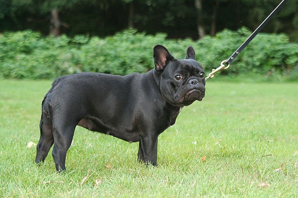 Nymphe De principaute - 4e youth class Female