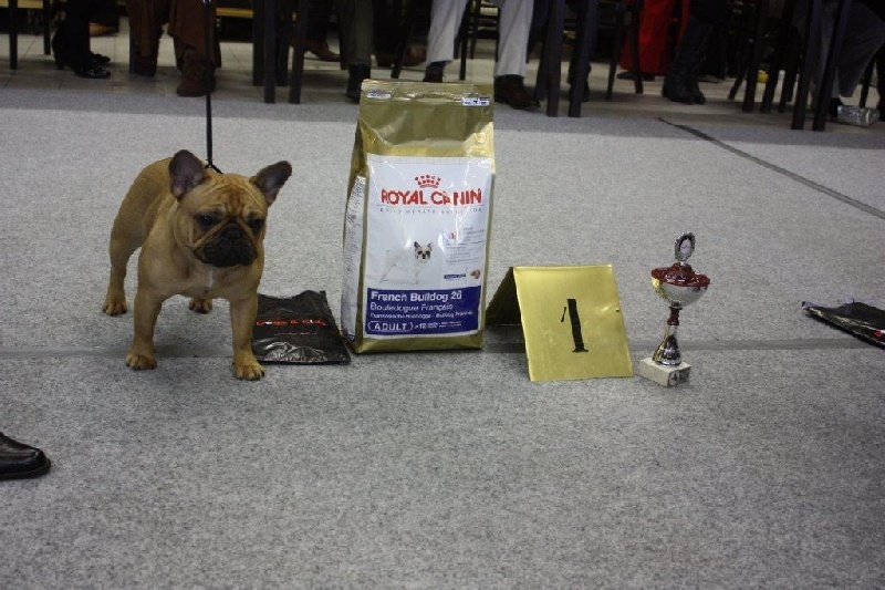 CH. Cadbury Angels Indira - 1e place youthclass female - Best Youth