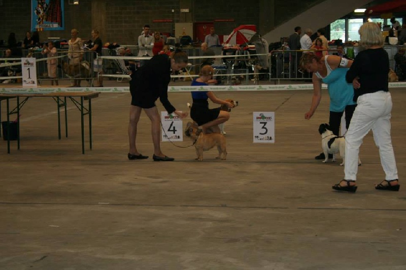 CH. Cadbury Angels Indira - 1 U/EX R.CAC - R.CACIB