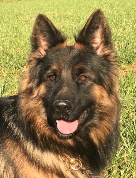 Connie vom sandstein - Très bon.