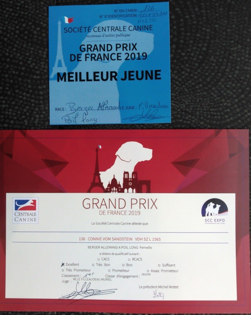 Connie vom sandstein - 1ère Excellent et meilleure jeune de sa race