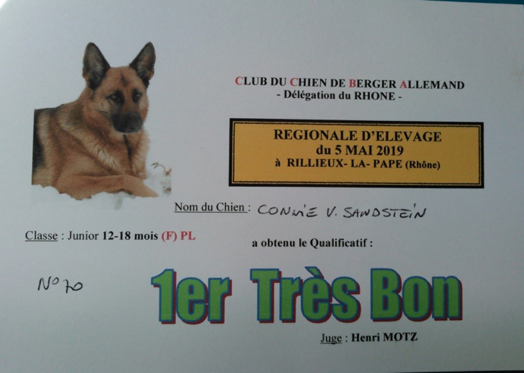 Connie vom sandstein - 1ère très bon classe Junior 12/18 mois