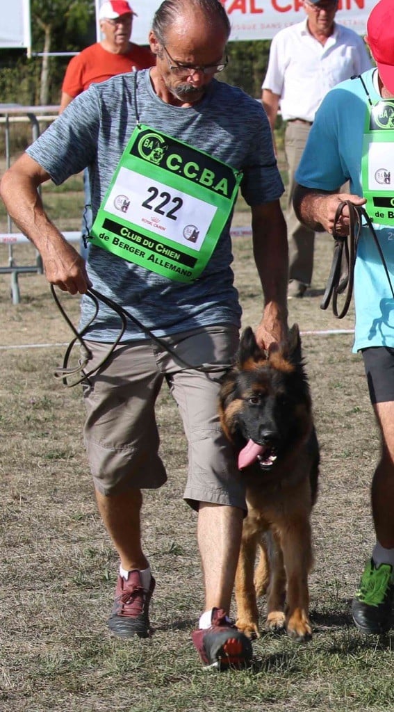 Connie vom sandstein - Très bon