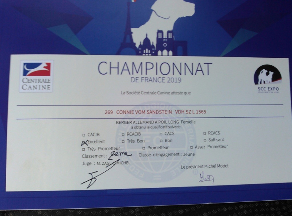 Connie vom sandstein - Vice championne de France classe jeune.