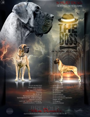 De la vallee de cande