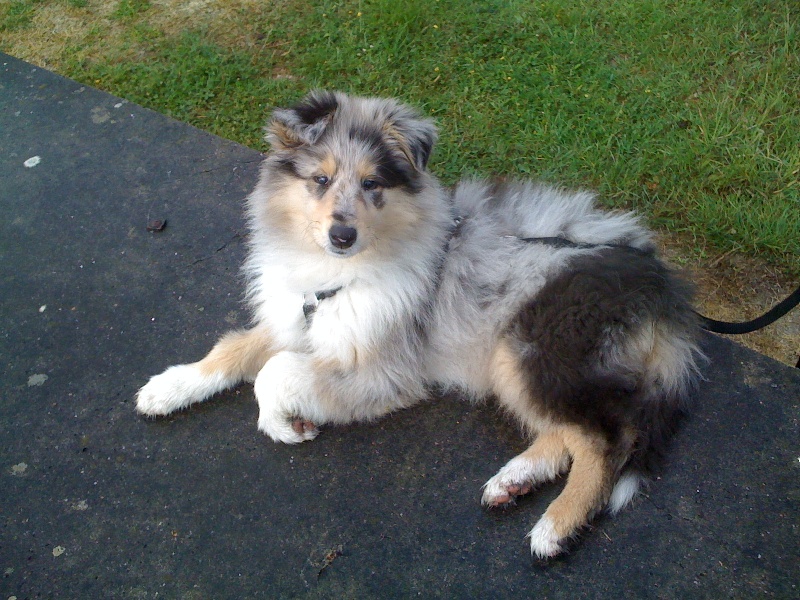 Fionie of Penny Park