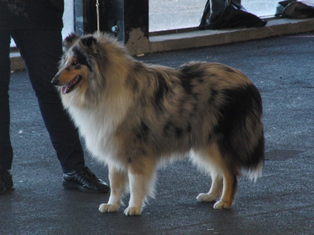 Fionie of Penny Park