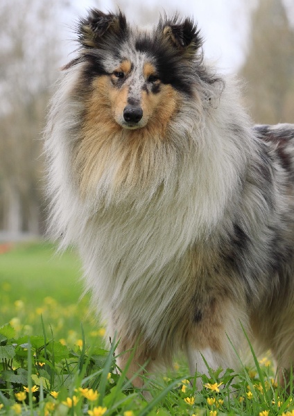 Fionie of Penny Park