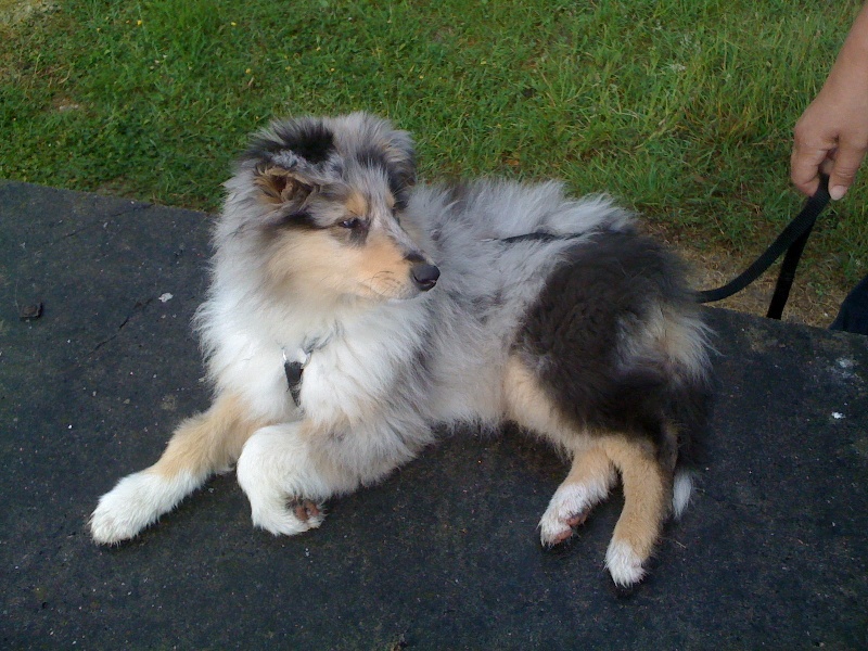 Fionie of Penny Park