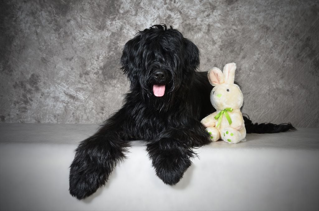 Nhiymaah natsu-d'ey-gio De La Gagée De Bohême - PROMETTEUR