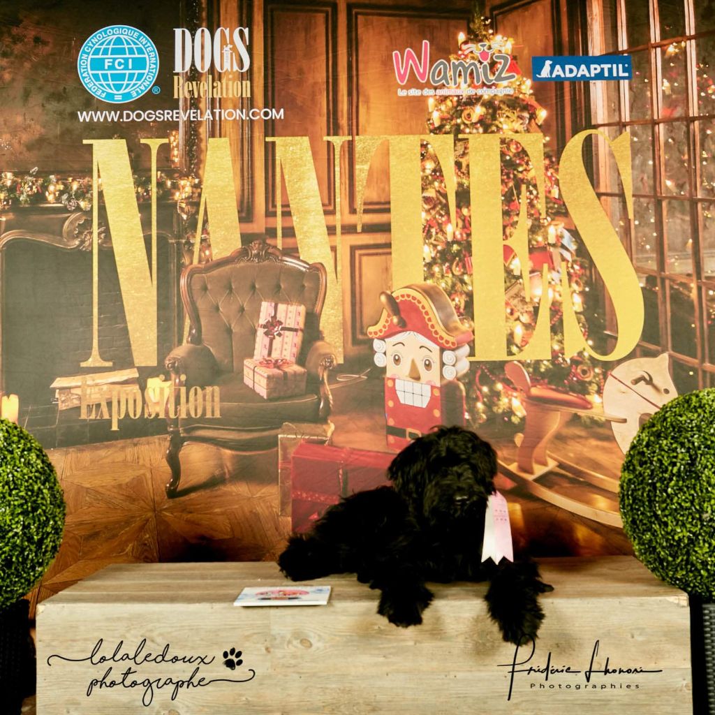 Nhiymaah natsu-d'ey-gio De La Gagée De Bohême - TRES PROMETTEUR MEILLEUR BABY