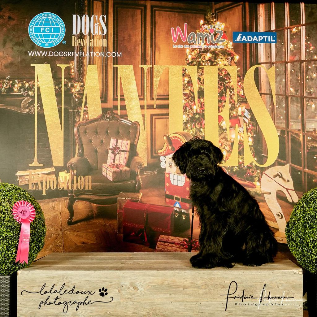 Nhiymaah natsu-d'ey-gio De La Gagée De Bohême - TRES PROMETTEUR MEILLEUR BABY