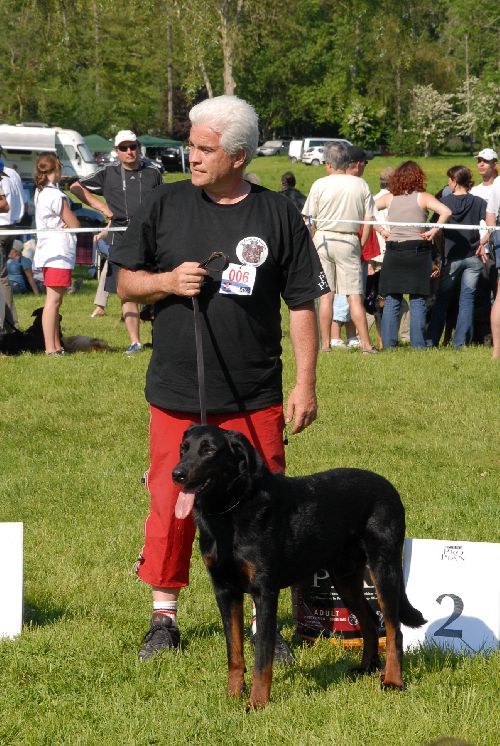 CH. Vidock du Murier de Sordeille - 2° EXC de la classe Recommandé et 3° Meilleur mâle