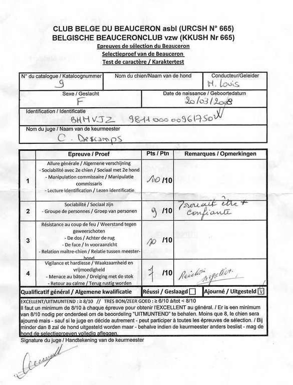 CH. Hypsy du Fond des Camps - Très bon en caractère et Excellent en morpho