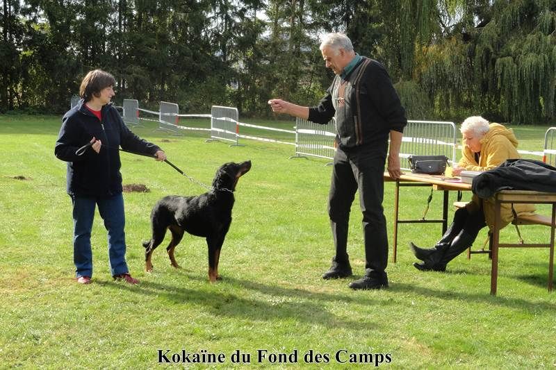 Kokaïne du Fond des Camps - EXC en caractère 8/8/8 - EXC en morpho