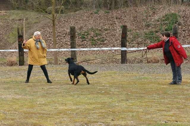 CH. Hypsy du Fond des Camps - Cotation 2