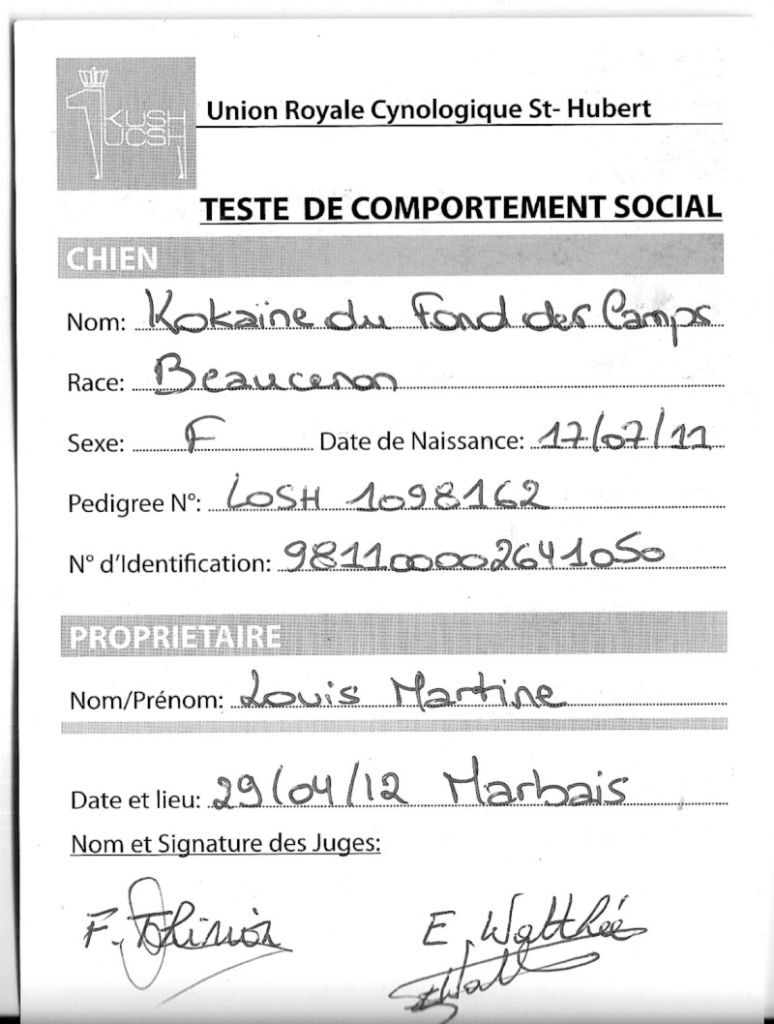 Kokaïne du Fond des Camps - EXC + Test de comportement social réussi