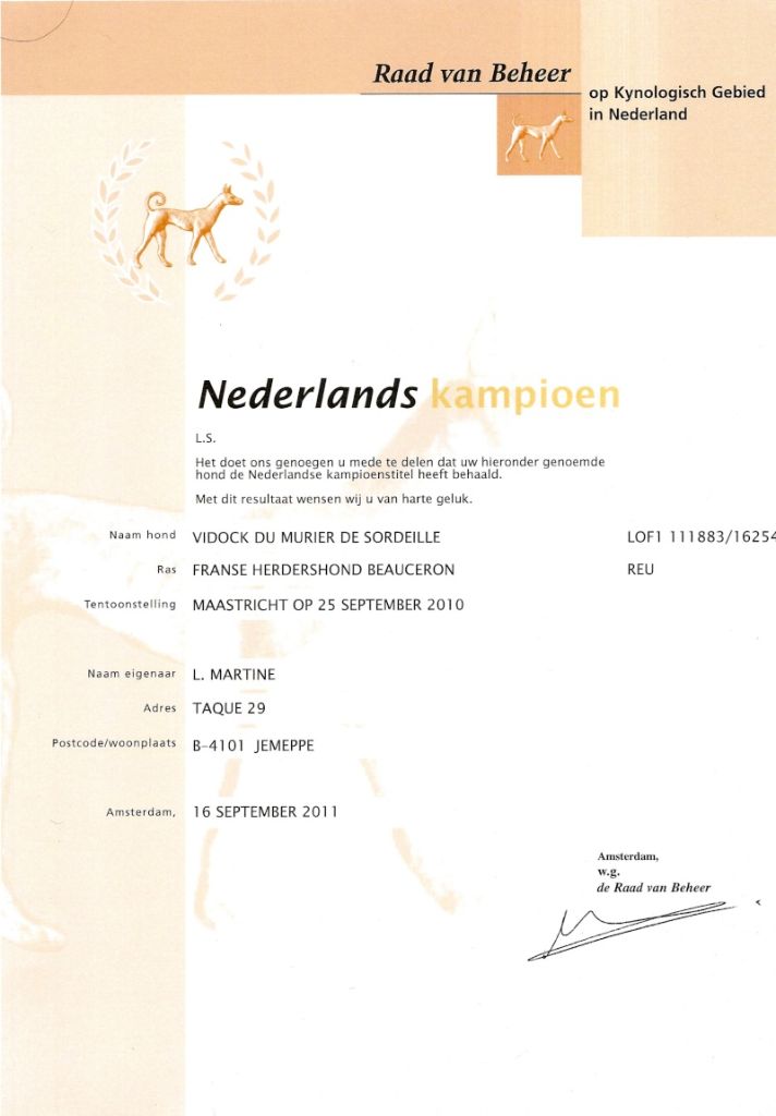 CH. Vidock du Murier de Sordeille - 2° EXC RCAC RCACIB en classe champion