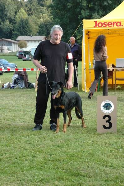 CH. Hypsy du Fond des Camps - 3° EXC en classe intermédiaire