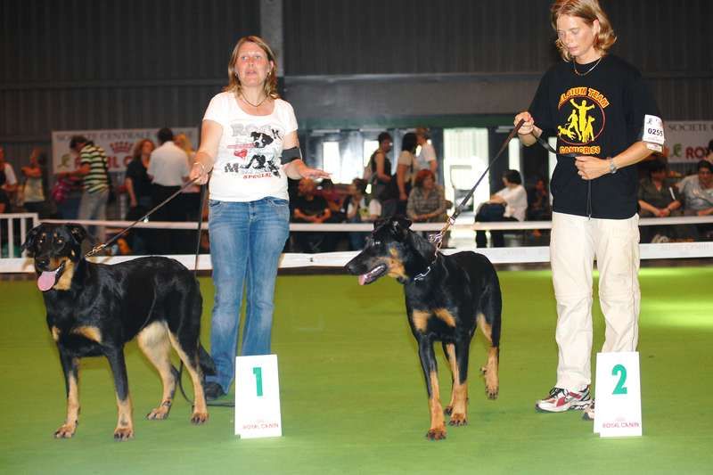 CH. Hypsy du Fond des Camps - 2° EXC en classe jeune