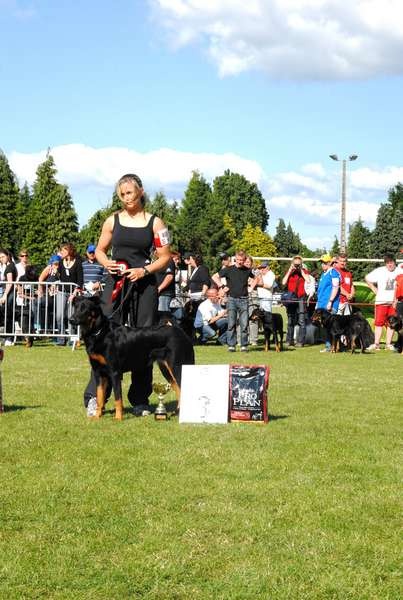 CH. Hypsy du Fond des Camps - 3° EXC en classe jeune Cotation 4