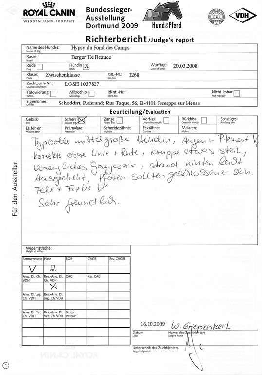 CH. Hypsy du Fond des Camps - 2e Excellent + Rés. VDH