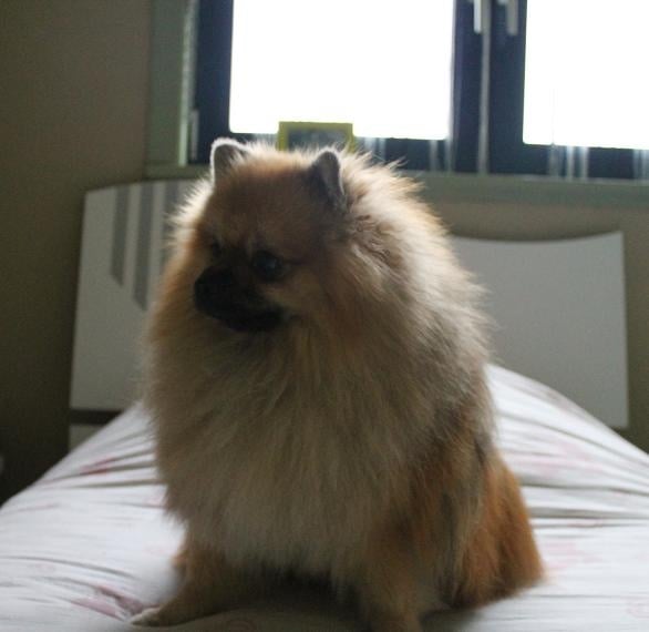 Hermes Des Souffles Sacres