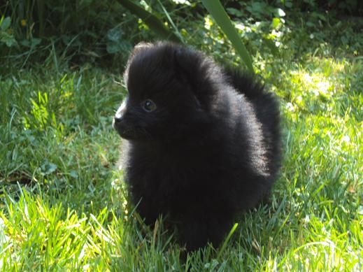 Justy Des Souffles Sacres