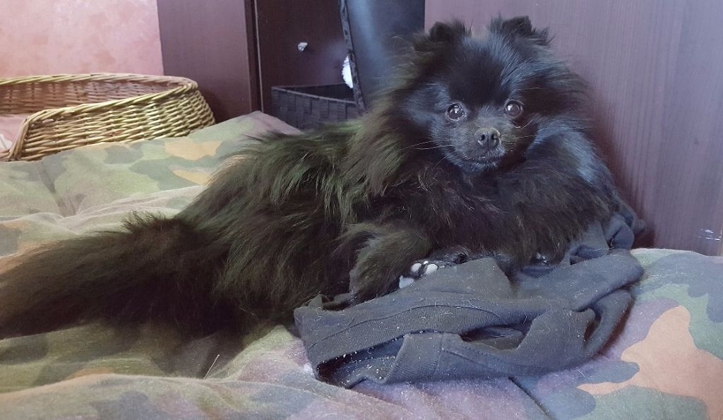 Justy Des Souffles Sacres