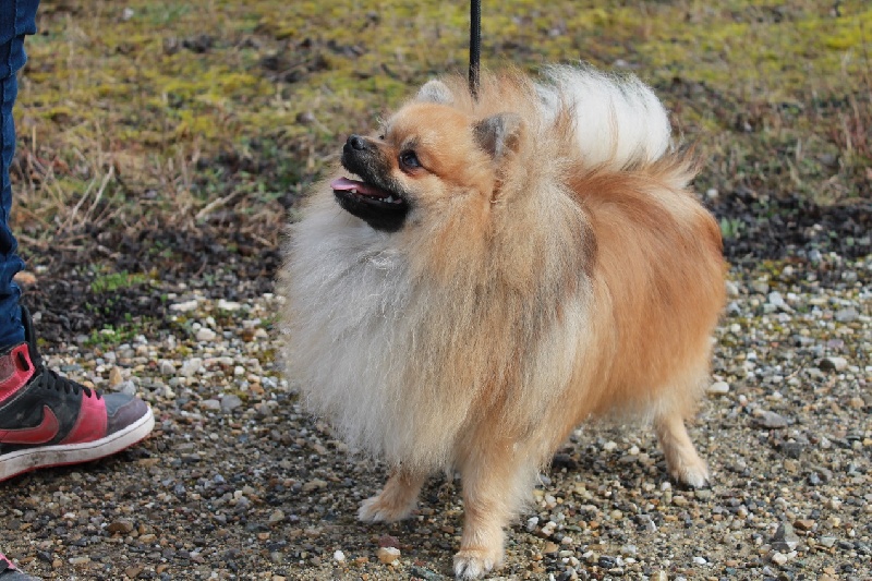 Hermes Des Souffles Sacres