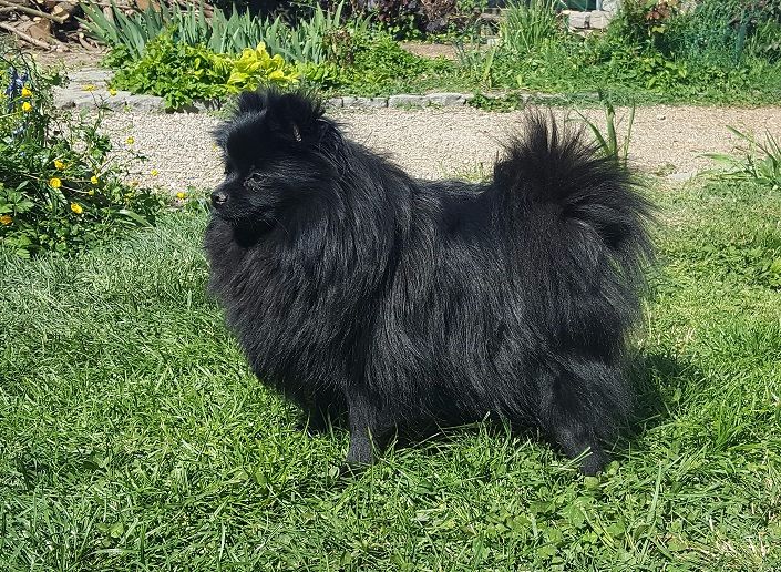 Justy Des Souffles Sacres