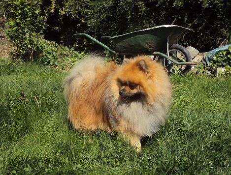 Hermes Des Souffles Sacres