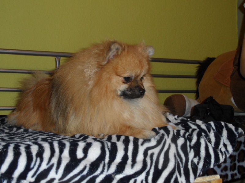 Hermes Des Souffles Sacres