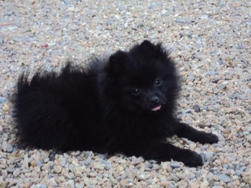 Justy Des Souffles Sacres