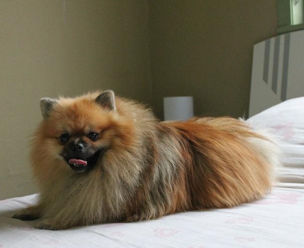 Hermes Des Souffles Sacres