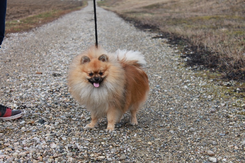 Hermes Des Souffles Sacres