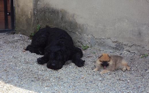 Hermes Des Souffles Sacres