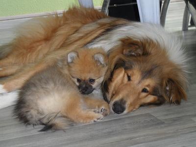 Hermes Des Souffles Sacres