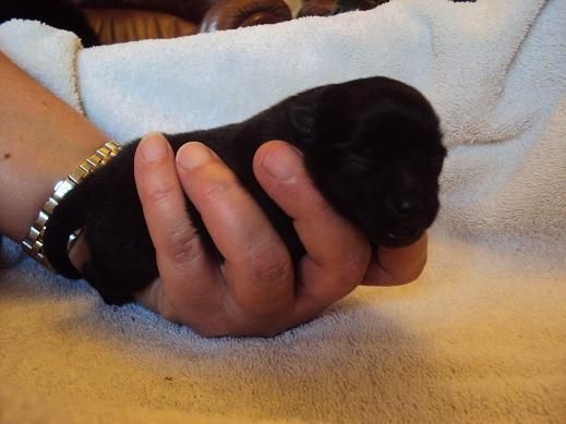 Justy Des Souffles Sacres