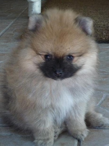 Hermes Des Souffles Sacres