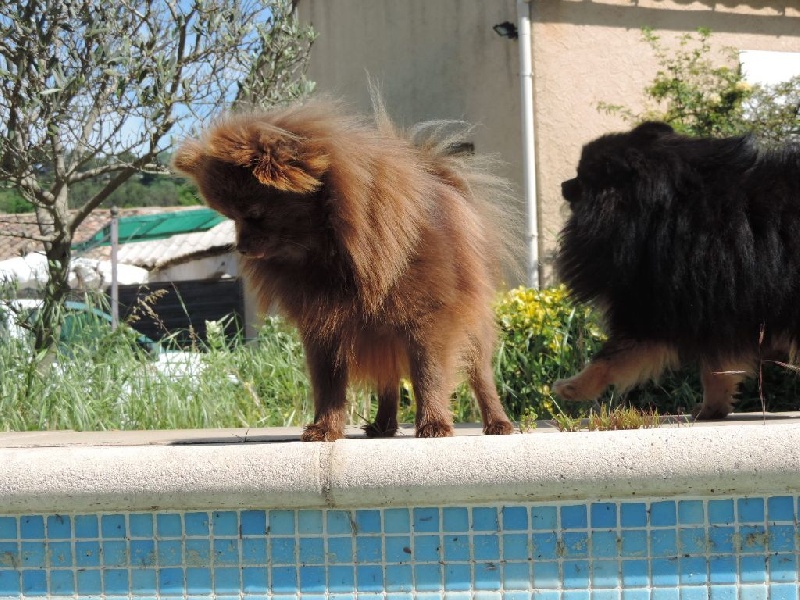 Joyce Des Souffles Sacres