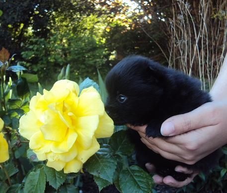 Justy Des Souffles Sacres